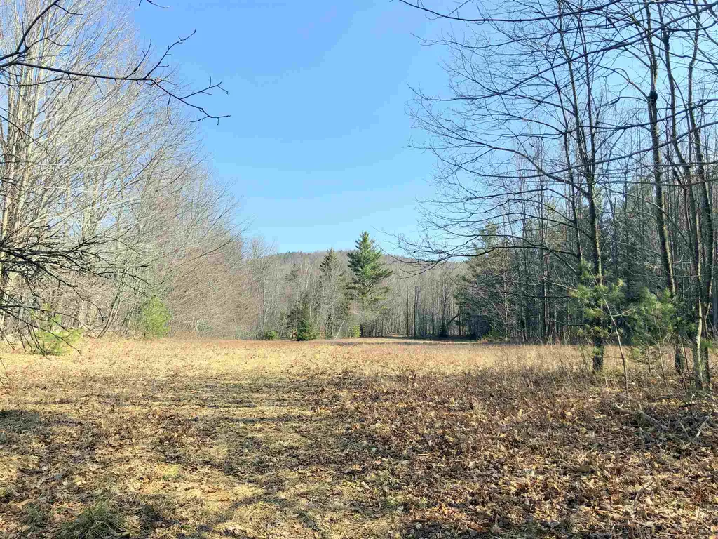 Vt Route 155 Mount Holly VT 05758