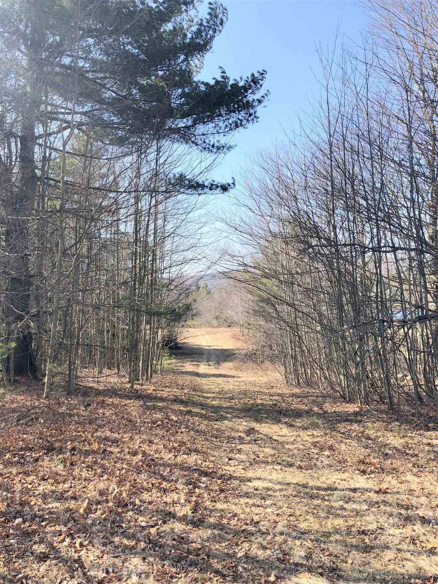 Vt Route 155 Mount Holly VT 05758