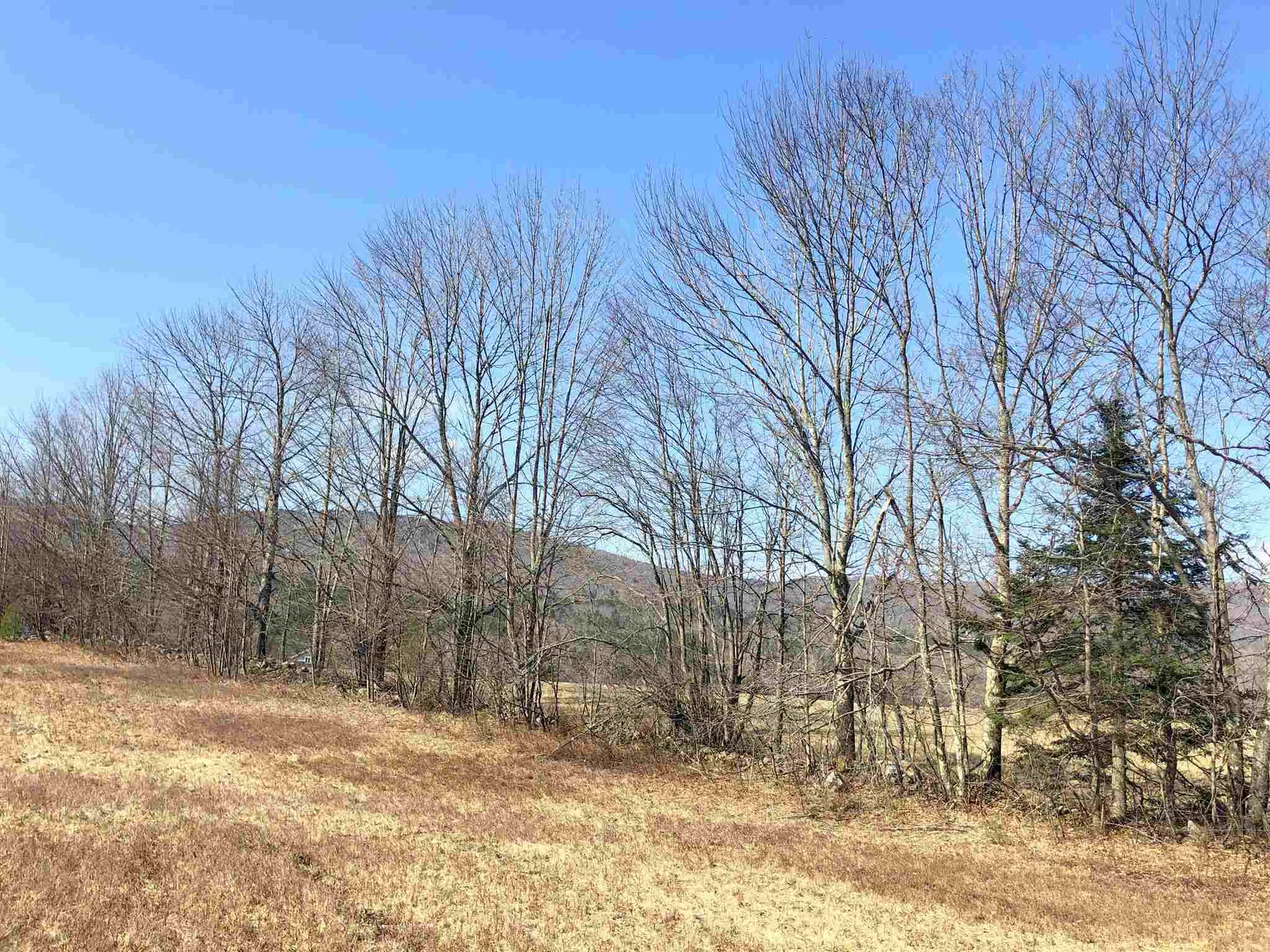 Vt Route 155 Mount Holly VT 05758