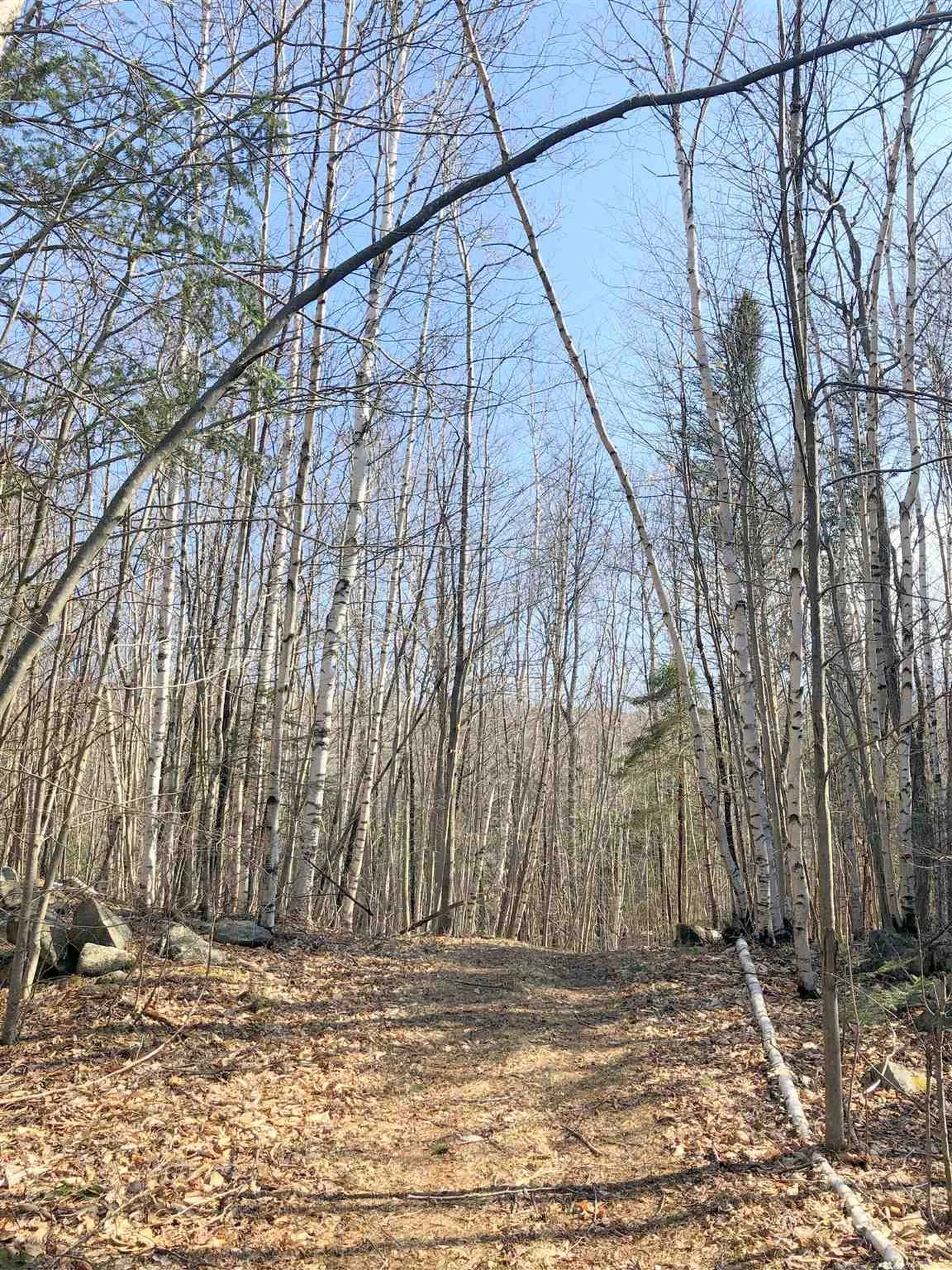 Vt Route 155 Mount Holly VT 05758