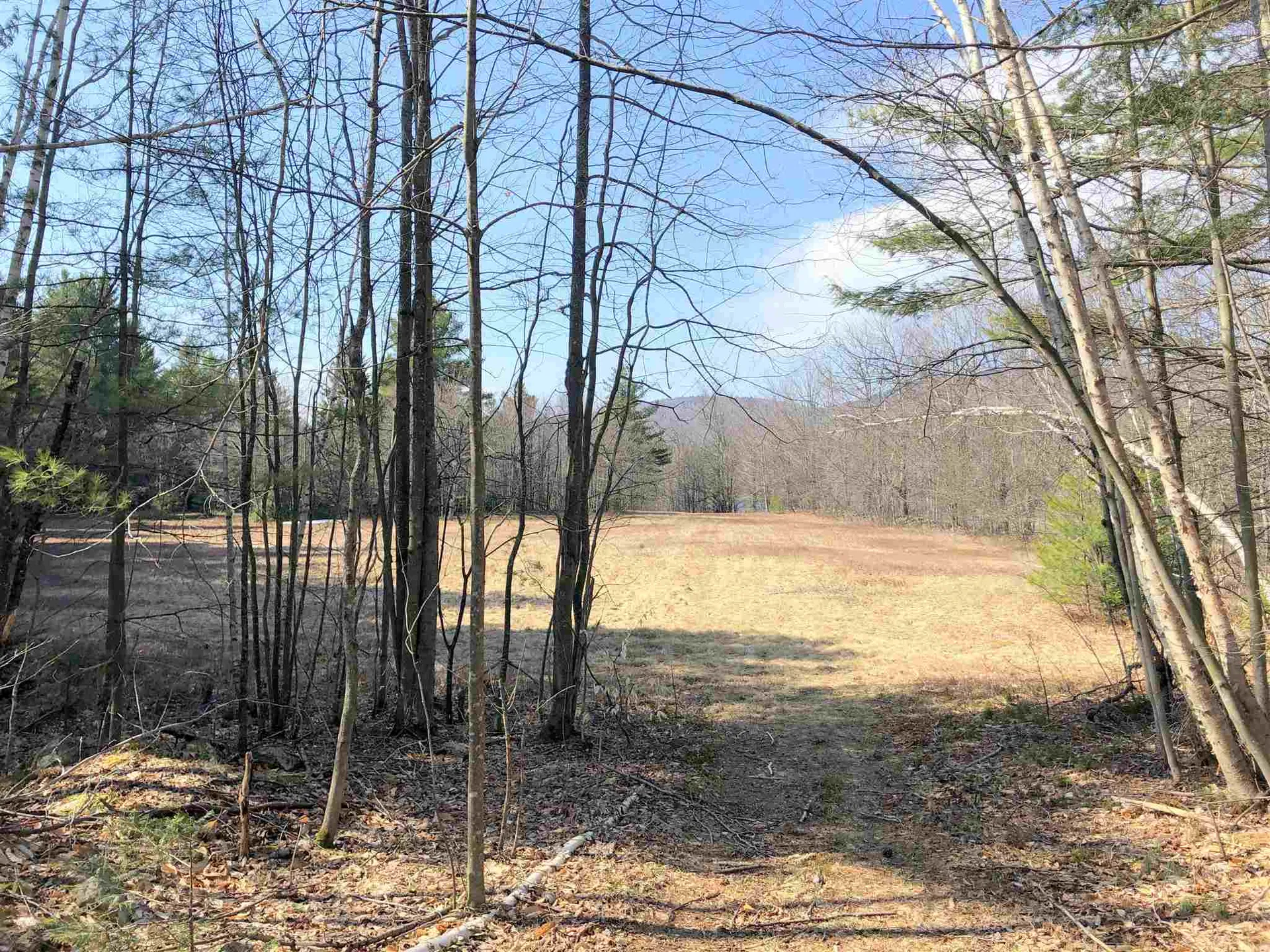 Vt Route 155 Mount Holly VT 05758