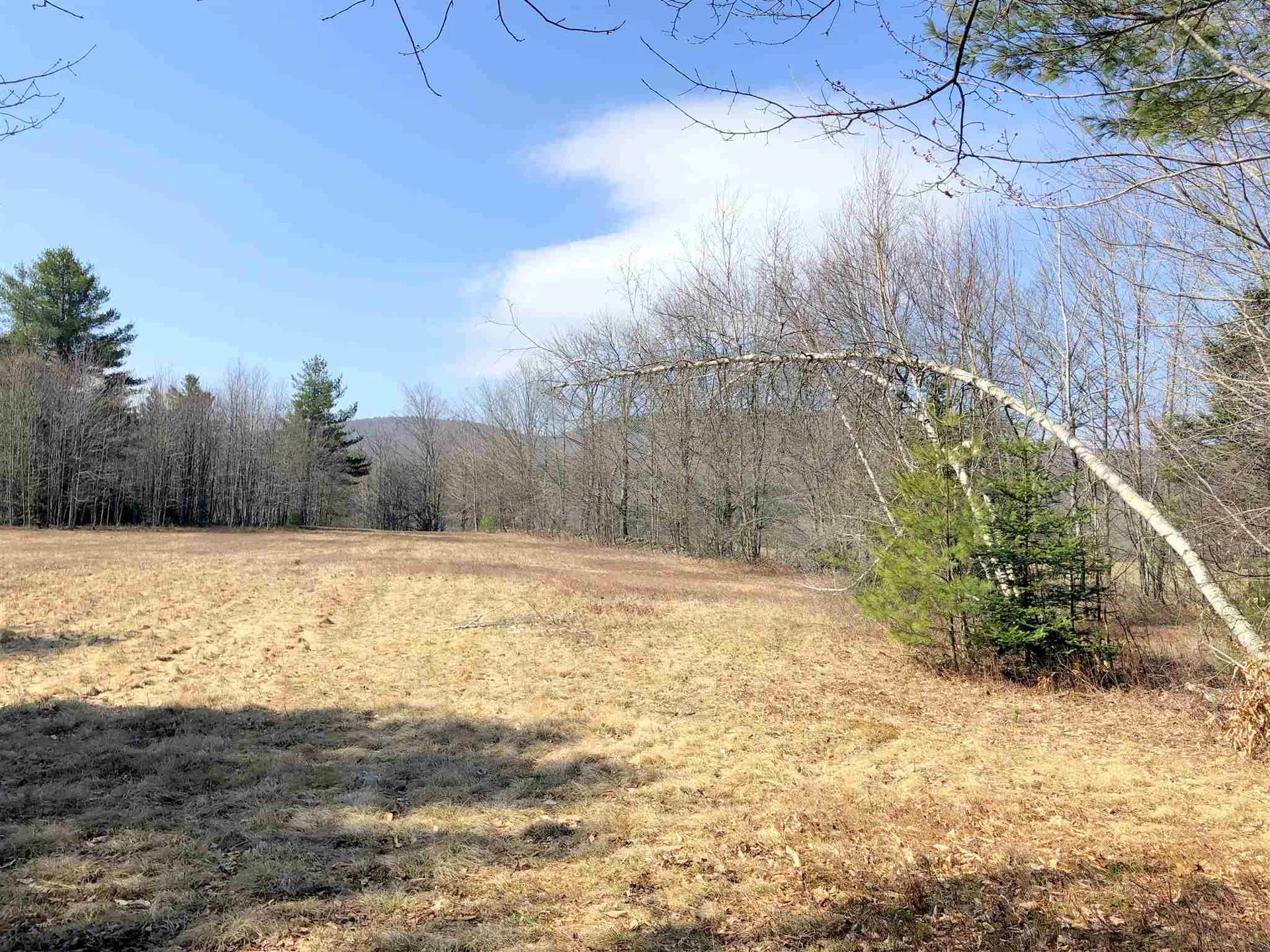 Vt Route 155 Mount Holly VT 05758