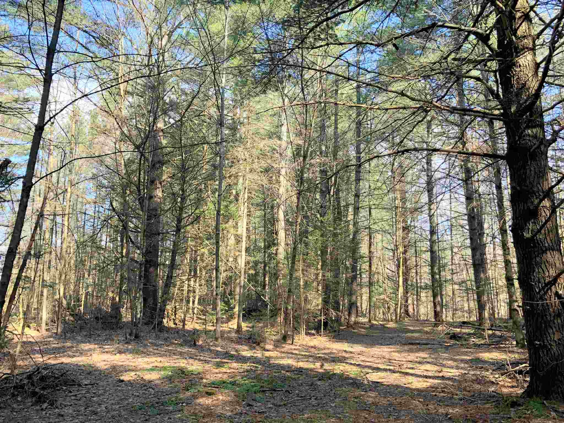 Vt Route 155 Mount Holly VT 05758