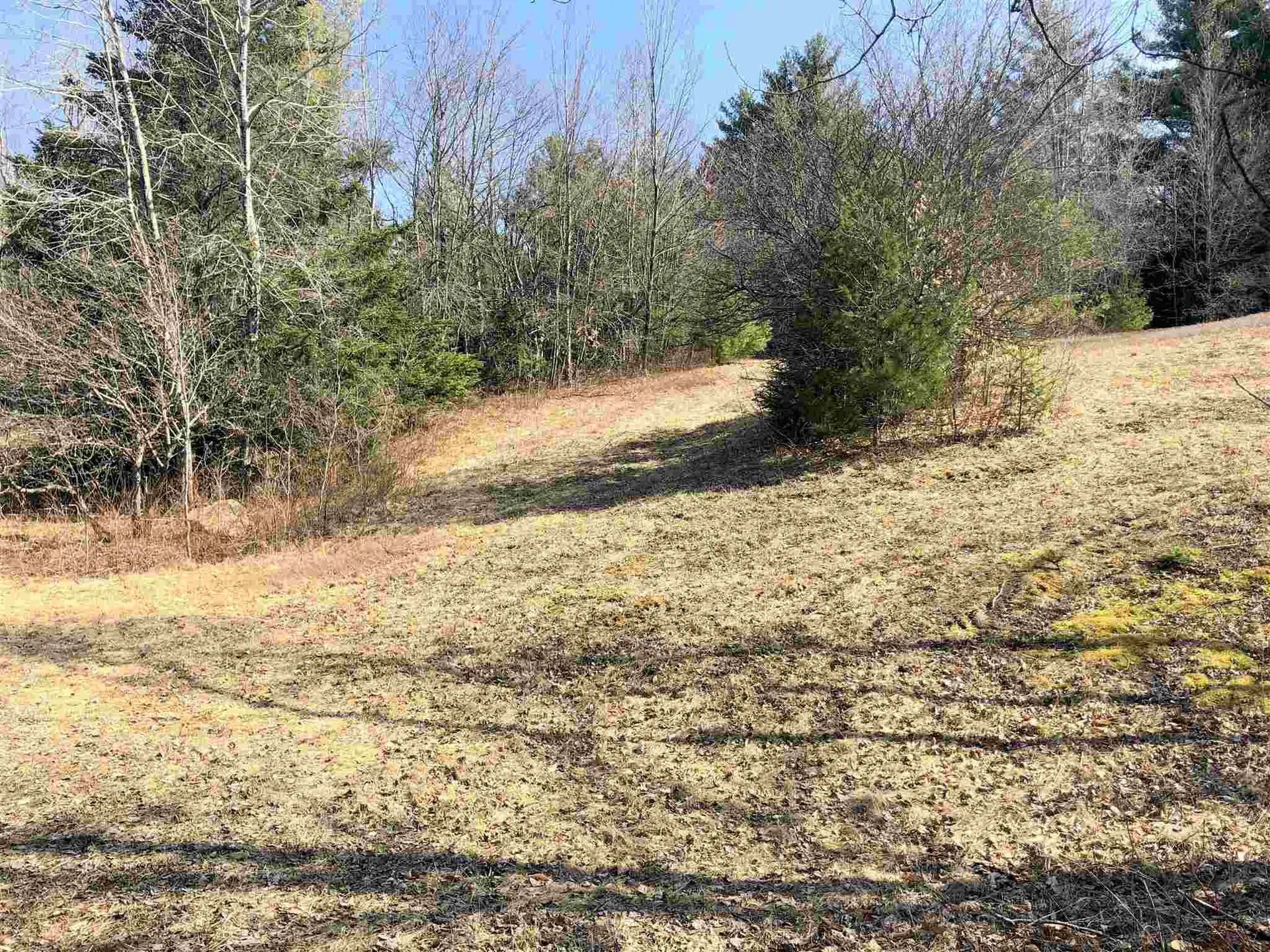 Vt Route 155 Mount Holly VT 05758