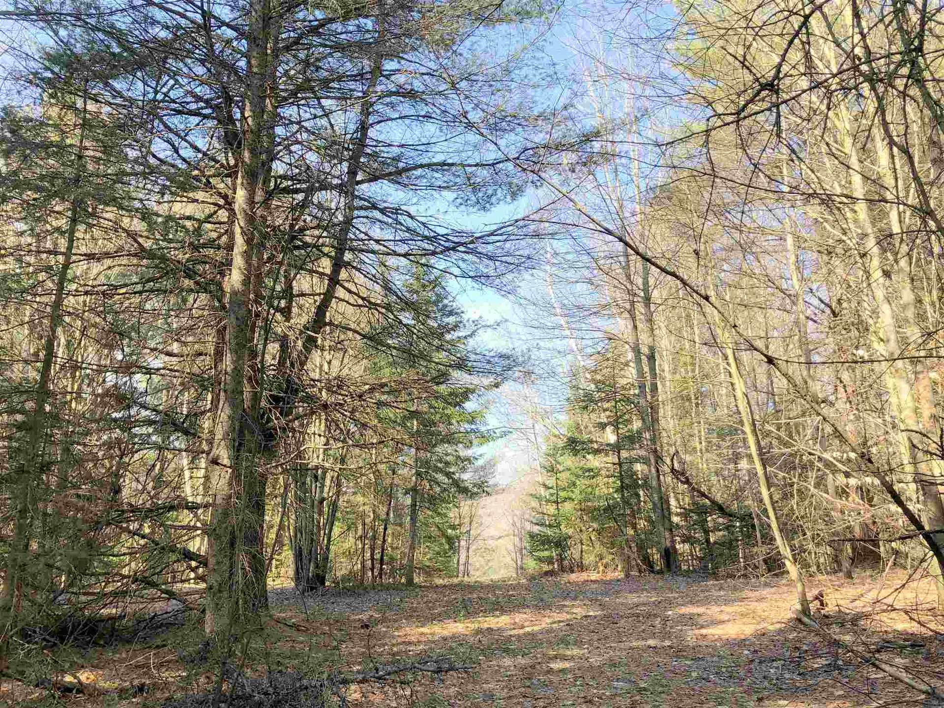 Vt Route 155 Mount Holly VT 05758