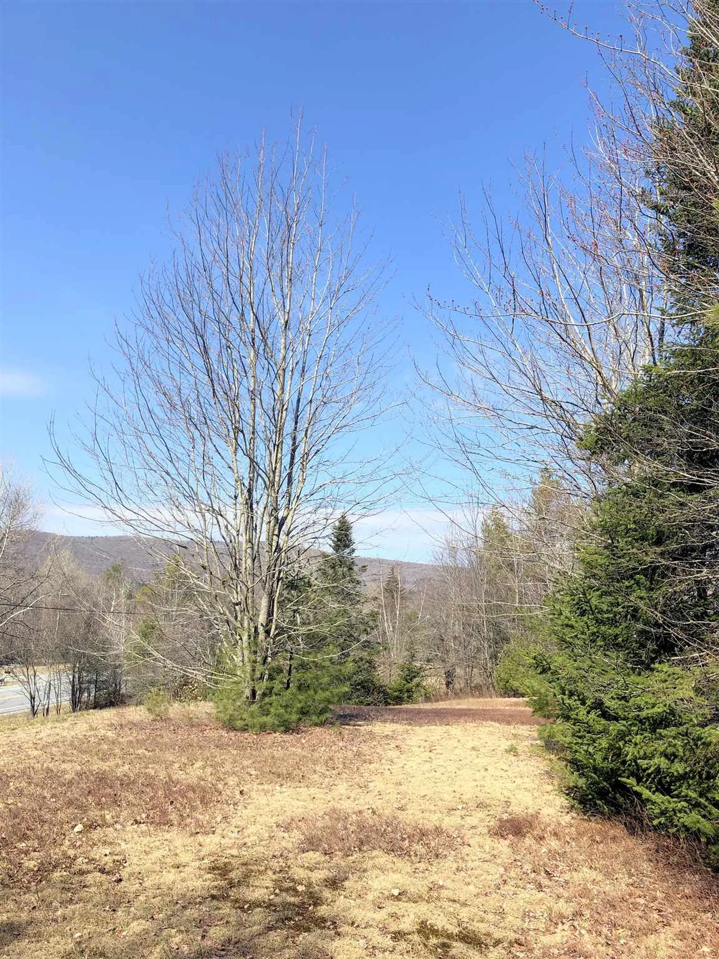 Vt Route 155 Mount Holly VT 05758