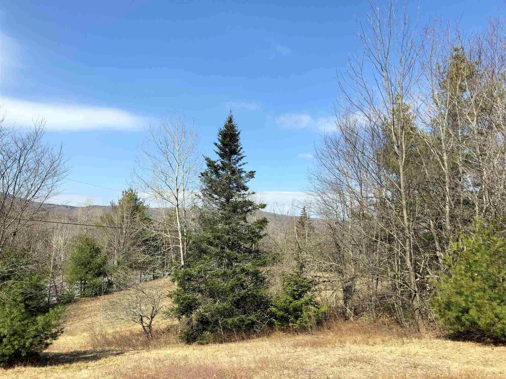 Vt Route 155 Mount Holly VT 05758