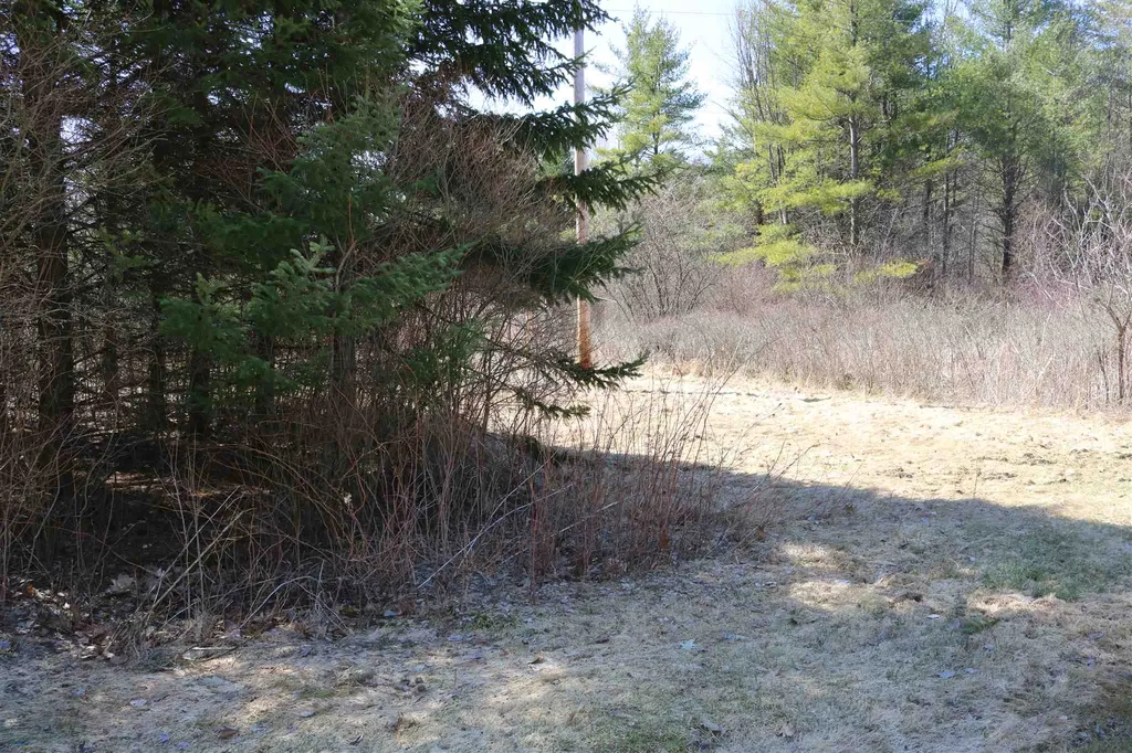 195 Fisher Road Orwell VT 05760