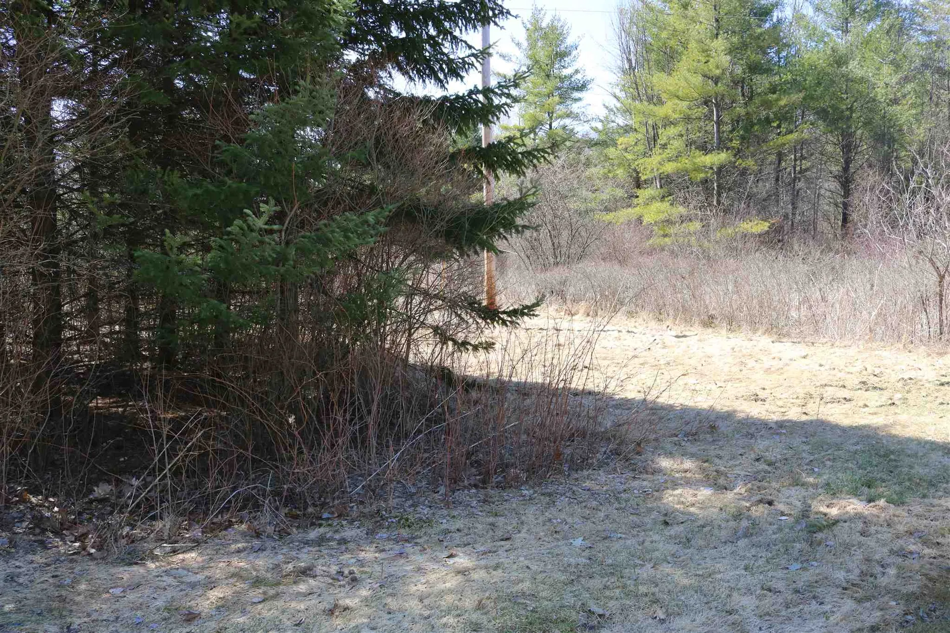 195 Fisher Road Orwell VT 05760