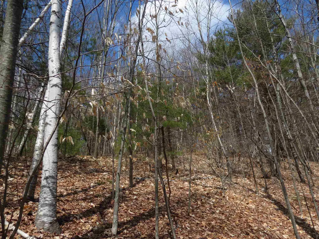 217 Rochester Road Northwood NH 03261