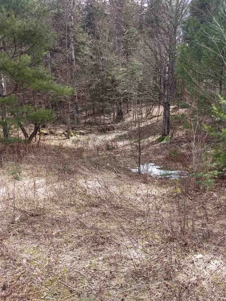 667 Dalton Road Dalton NH 03598
