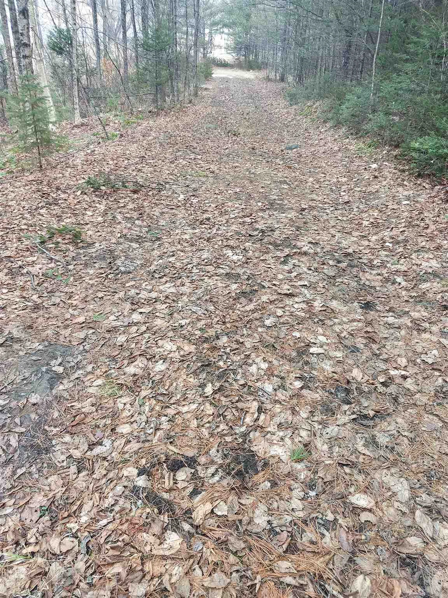 667 Dalton Road Dalton NH 03598