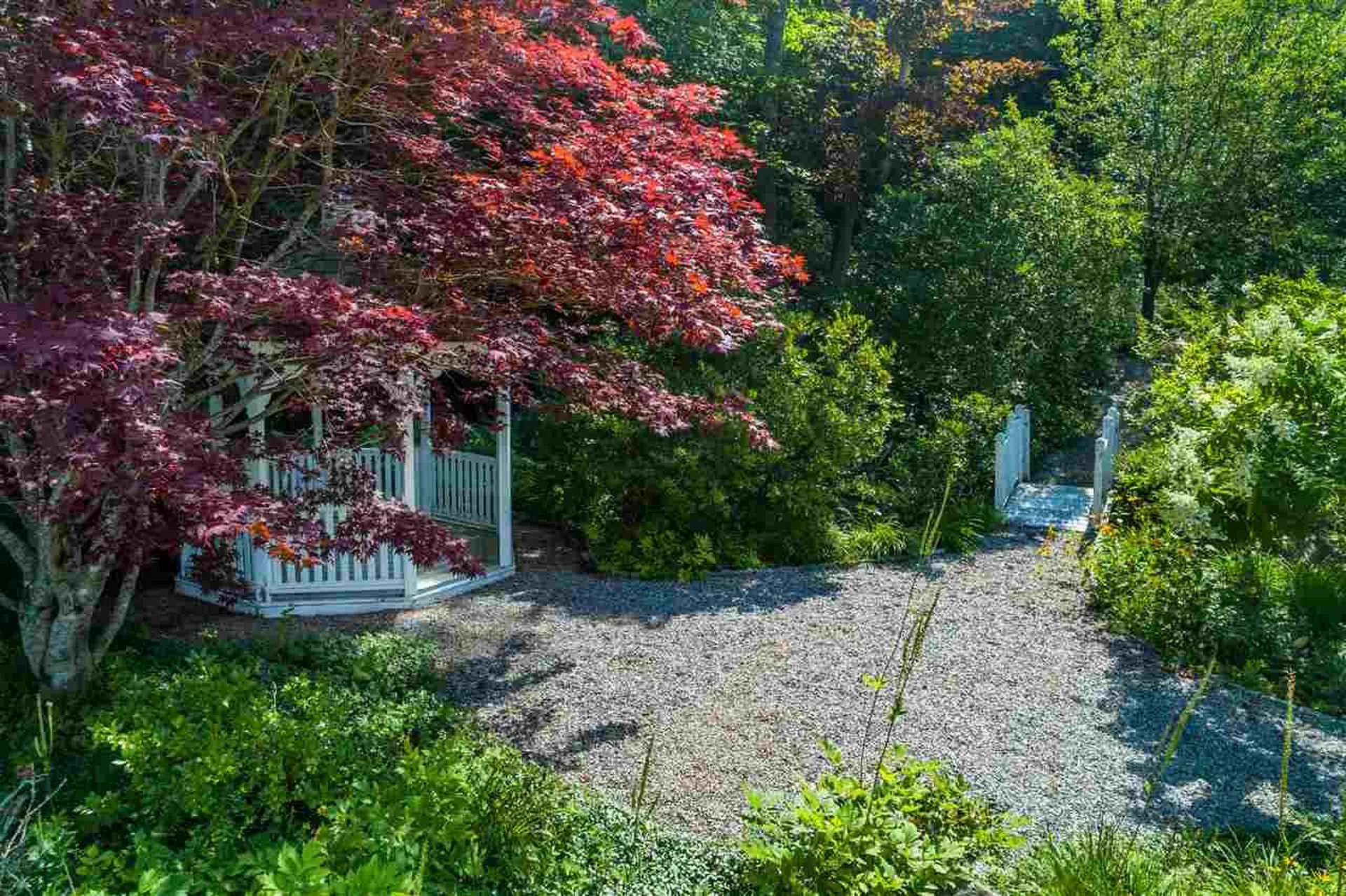 107 Ledgeview Shore Drive Alexandria NH 03222