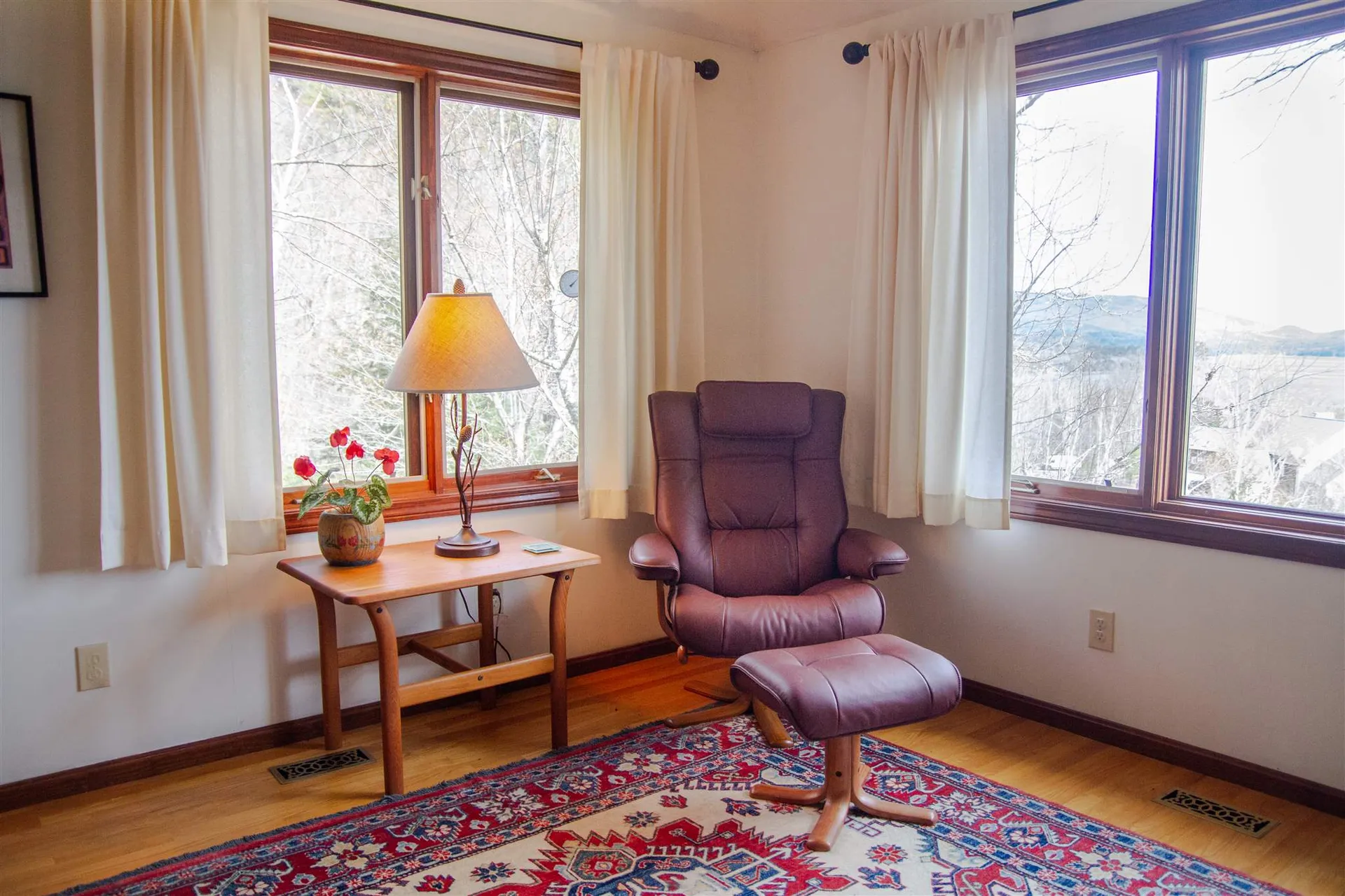 107 Ledgeview Shore Drive Alexandria NH 03222