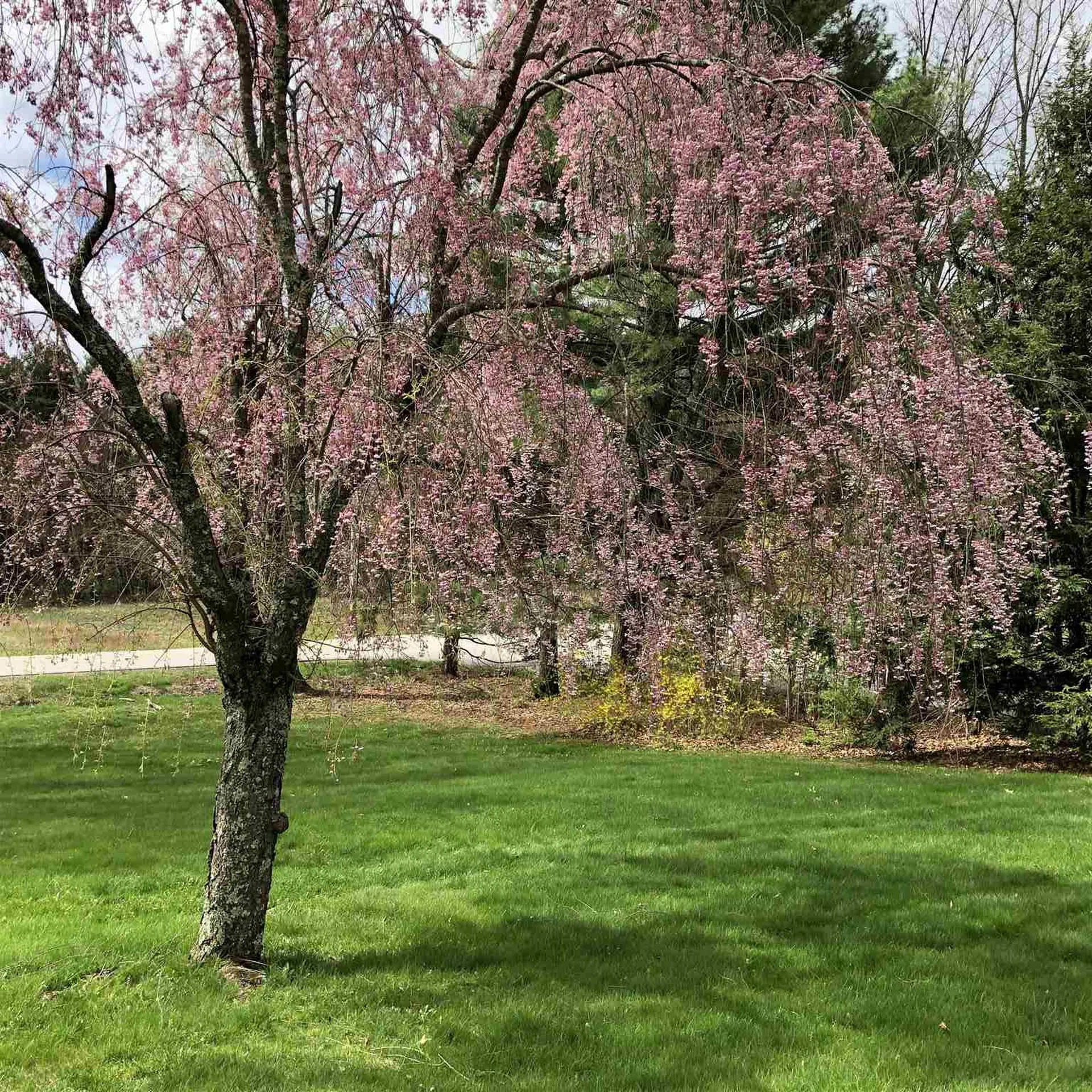 447 Exeter Road Hampton NH 03842