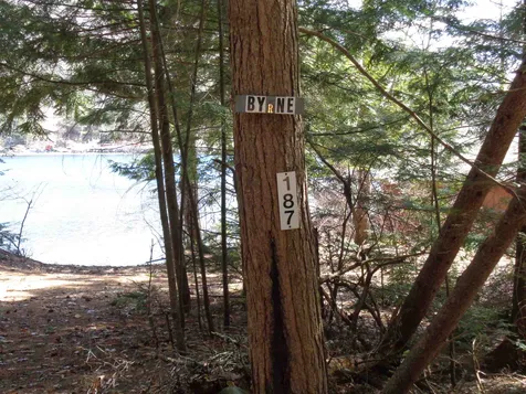 174 Pikes Point Road Bristol NH 03222