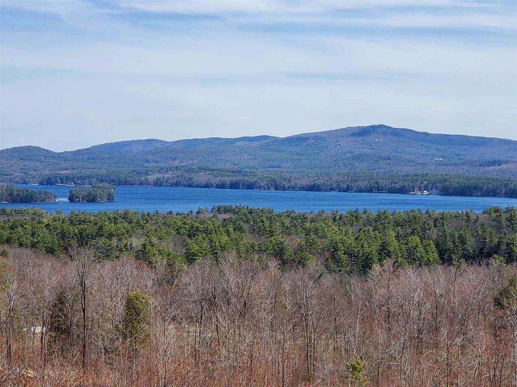 0 Tyler Brook Way Wolfeboro NH 03894