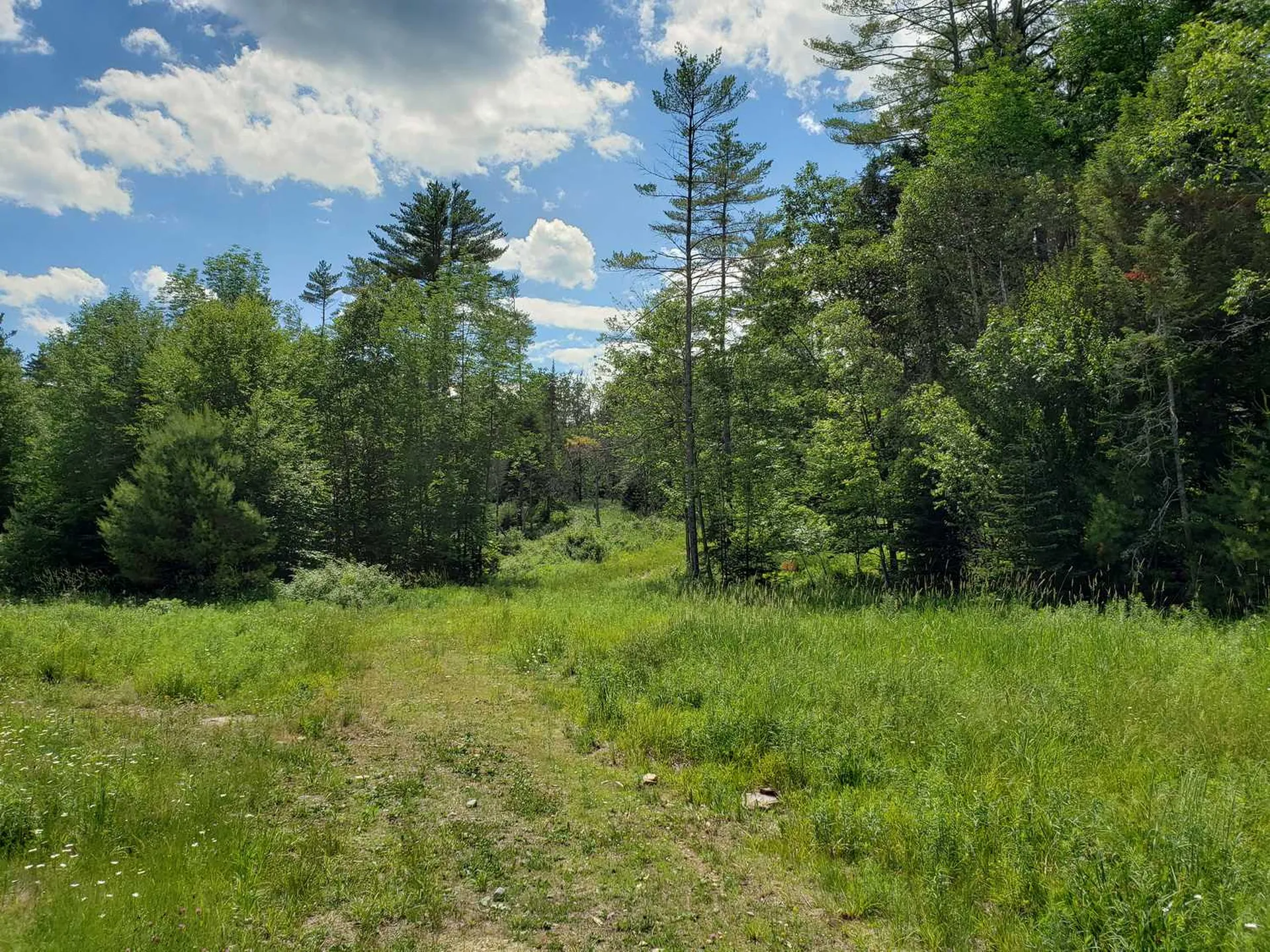 783 West Bath Road Bath NH 03740
