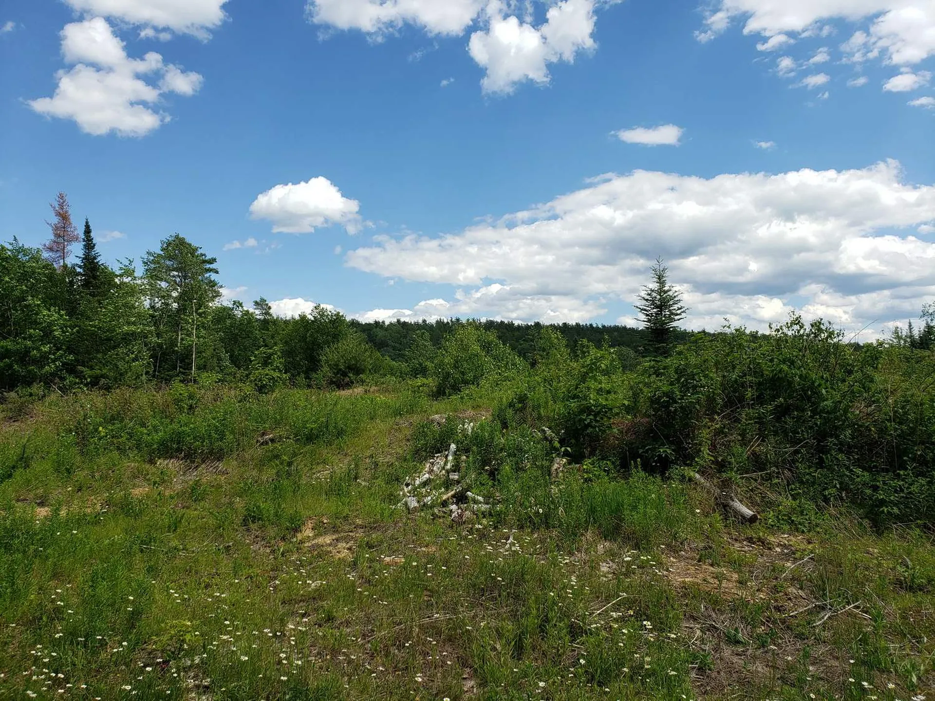 783 West Bath Road Bath NH 03740