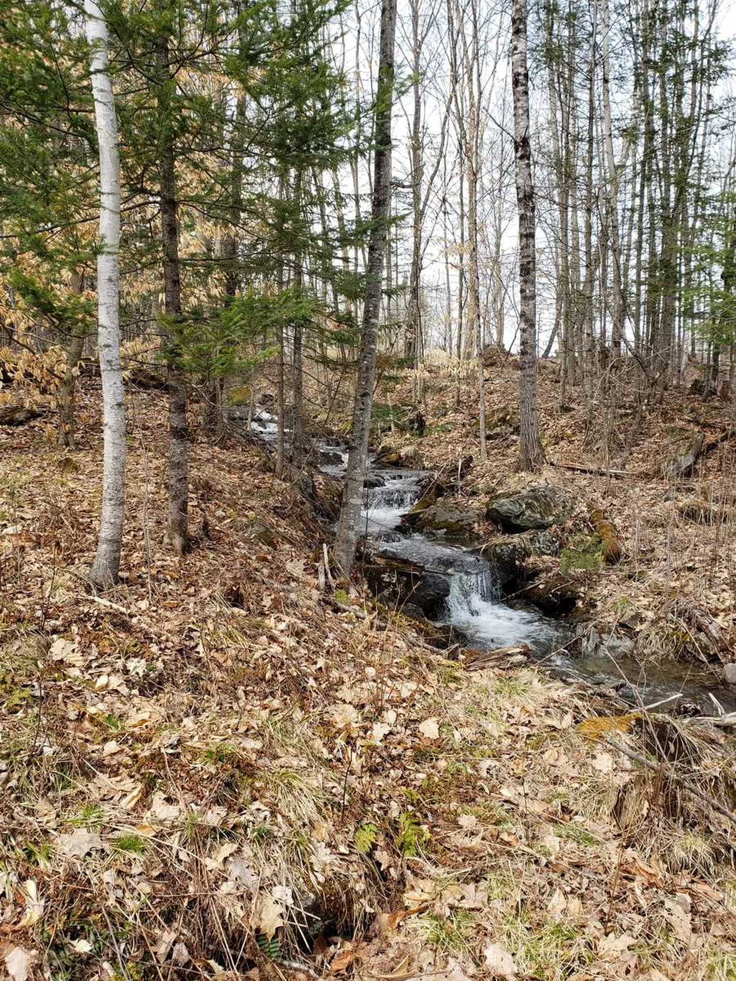 783 West Bath Road Bath NH 03740