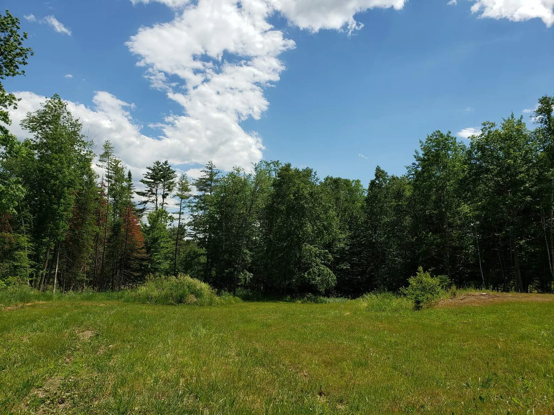 783 West Bath Road Bath NH 03740