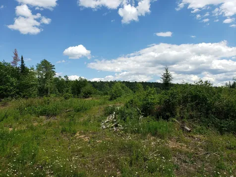 783 West Bath Road Bath NH 03740