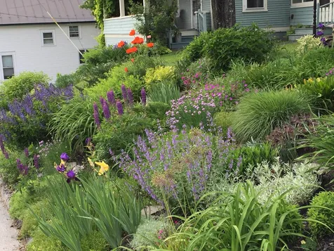 5 Emmons Street Montpelier VT 05602