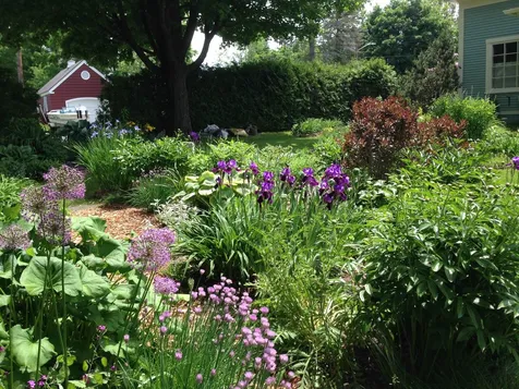 5 Emmons Street Montpelier VT 05602