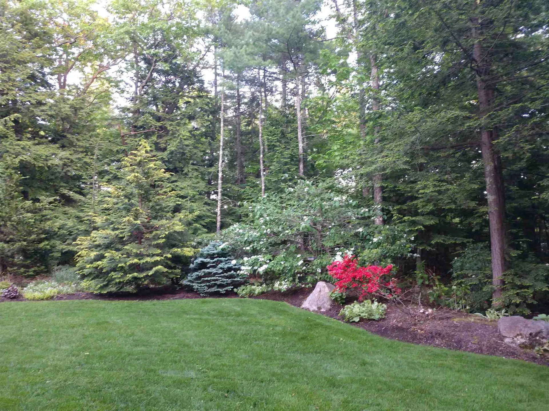 88 Terrace Hill Road Gilford NH 03249