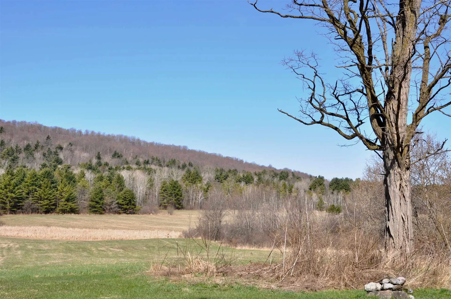 954 Washington Street Extension Middlebury VT 05753