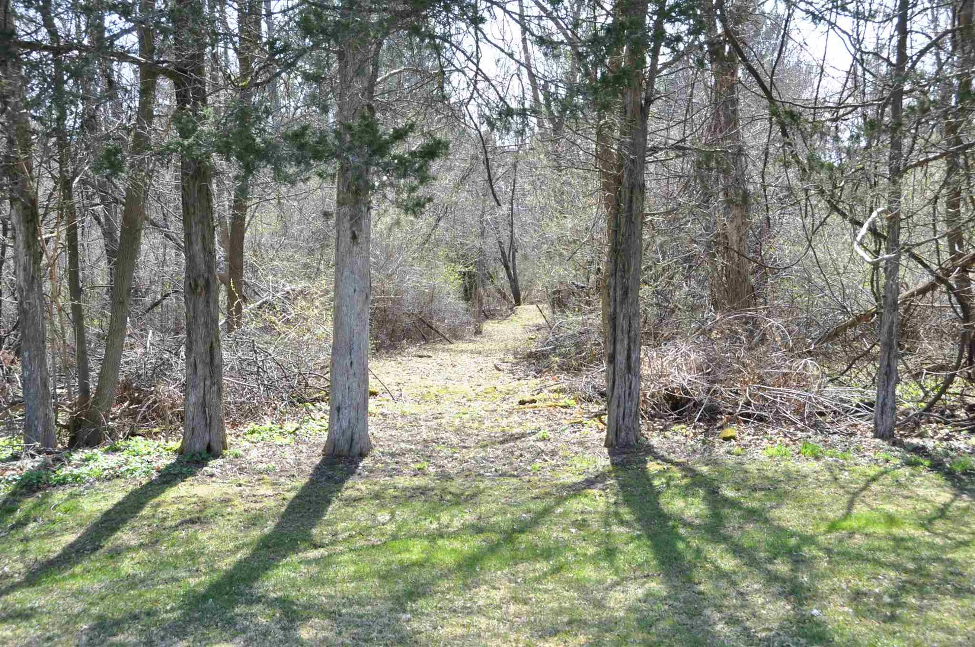 954 Washington Street Extension Middlebury VT 05753