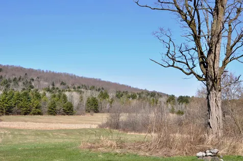 954 Washington Street Extension Middlebury VT 05753
