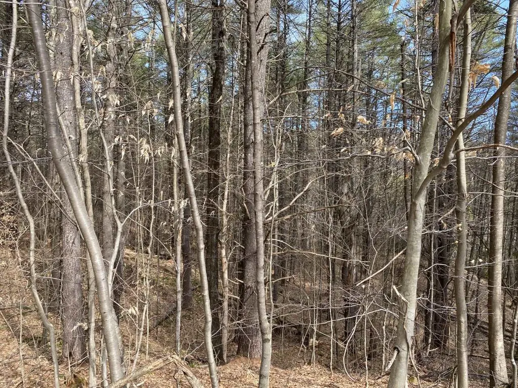 Sugar Lot Lane Jamaica VT 05343