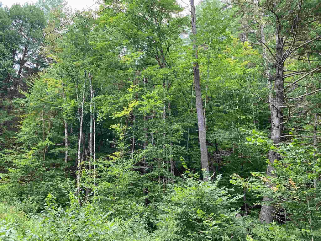 Sugar Lot Lane Jamaica VT 05343