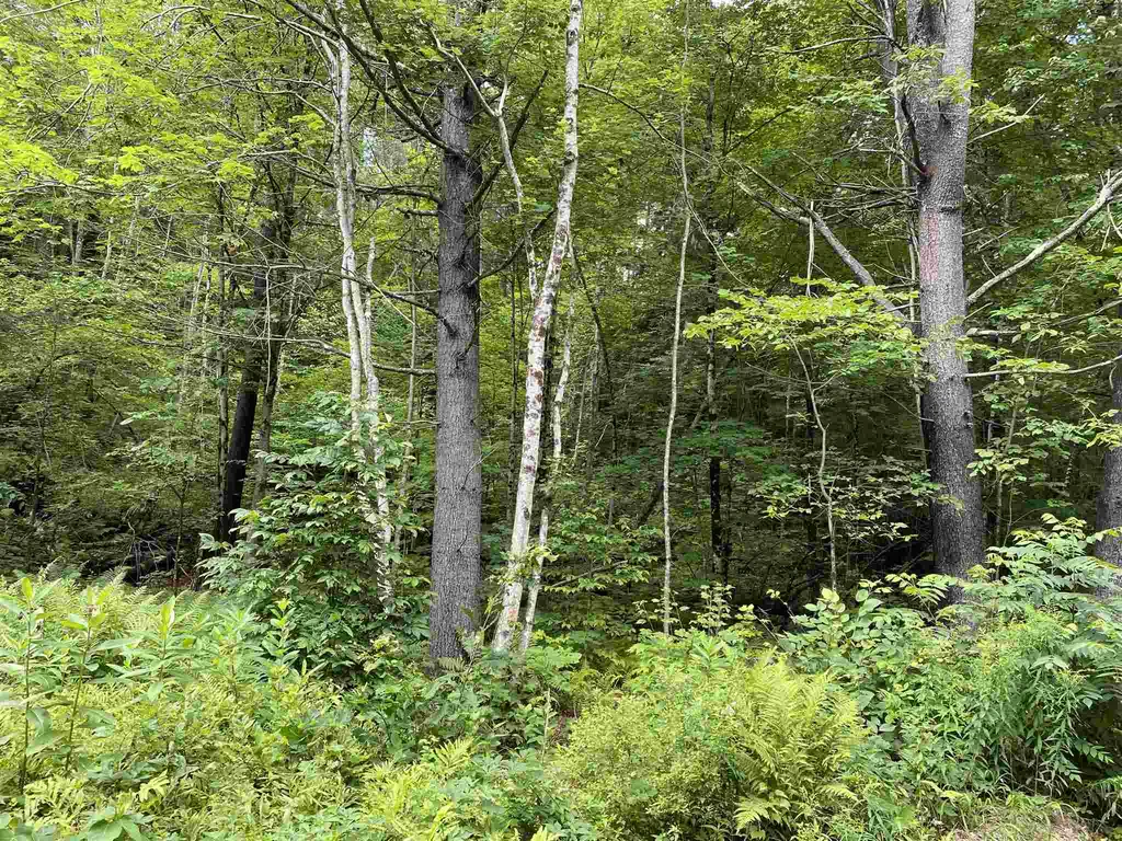 Sugar Lot Lane Jamaica VT 05343