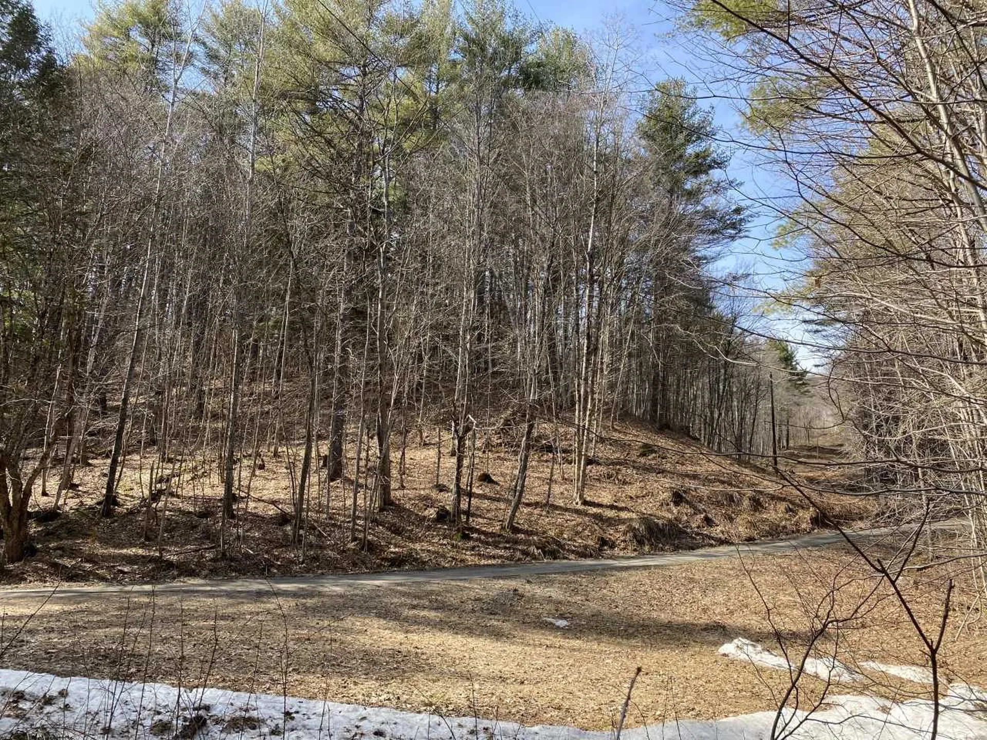 Sugar Lot Lane Jamaica VT 05343