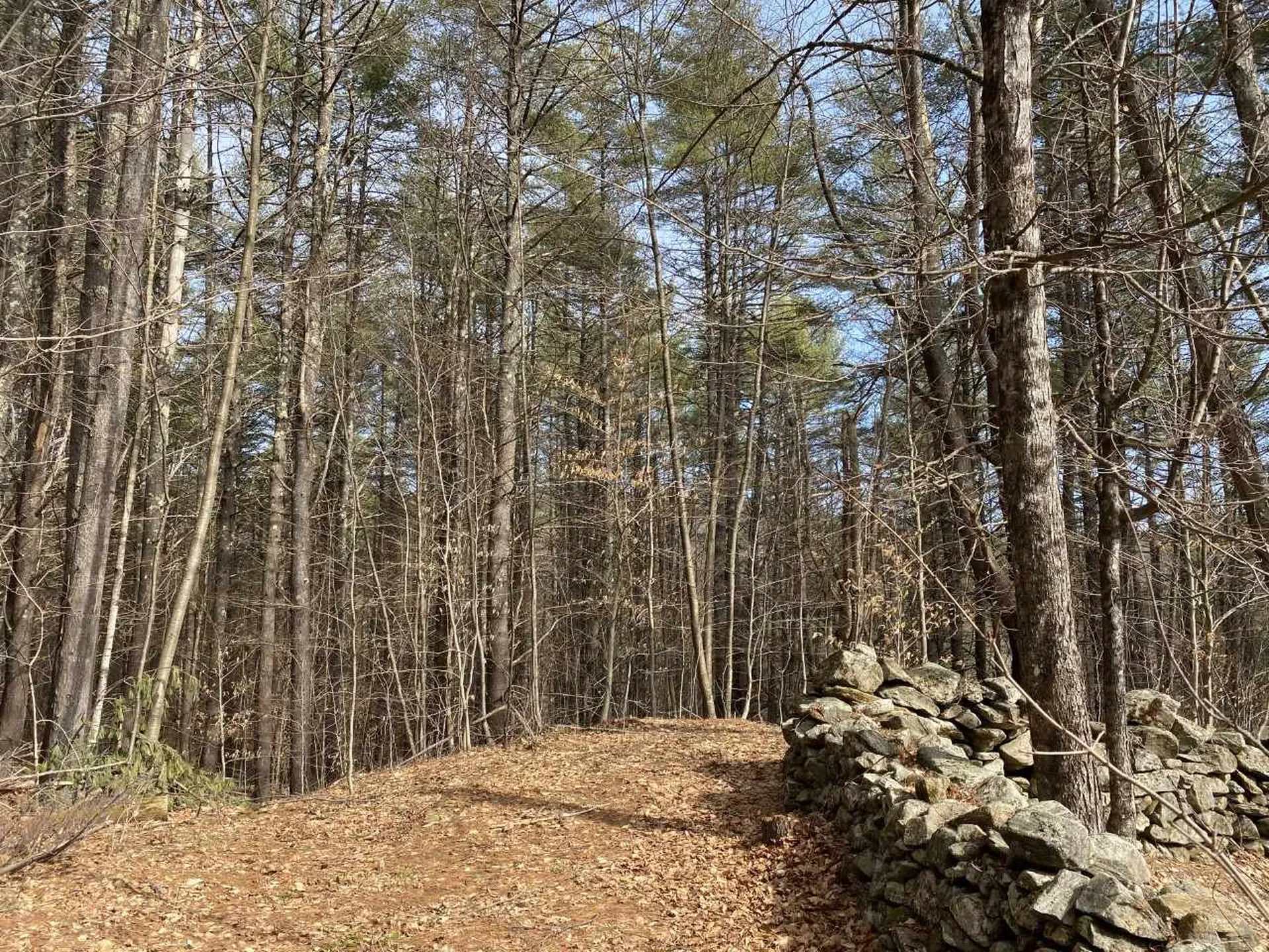 Sugar Lot Lane Jamaica VT 05343