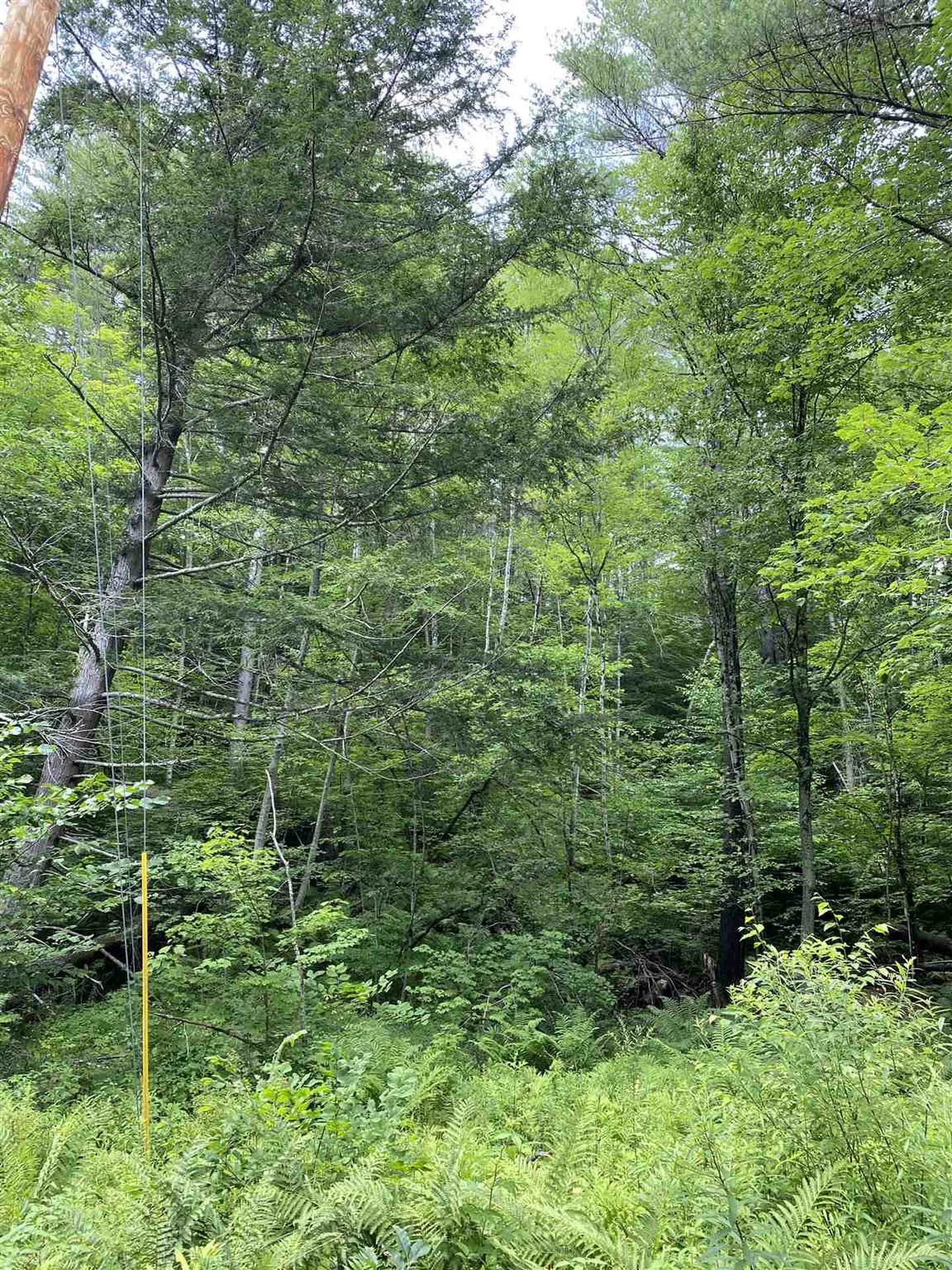 Sugar Lot Lane Jamaica VT 05343