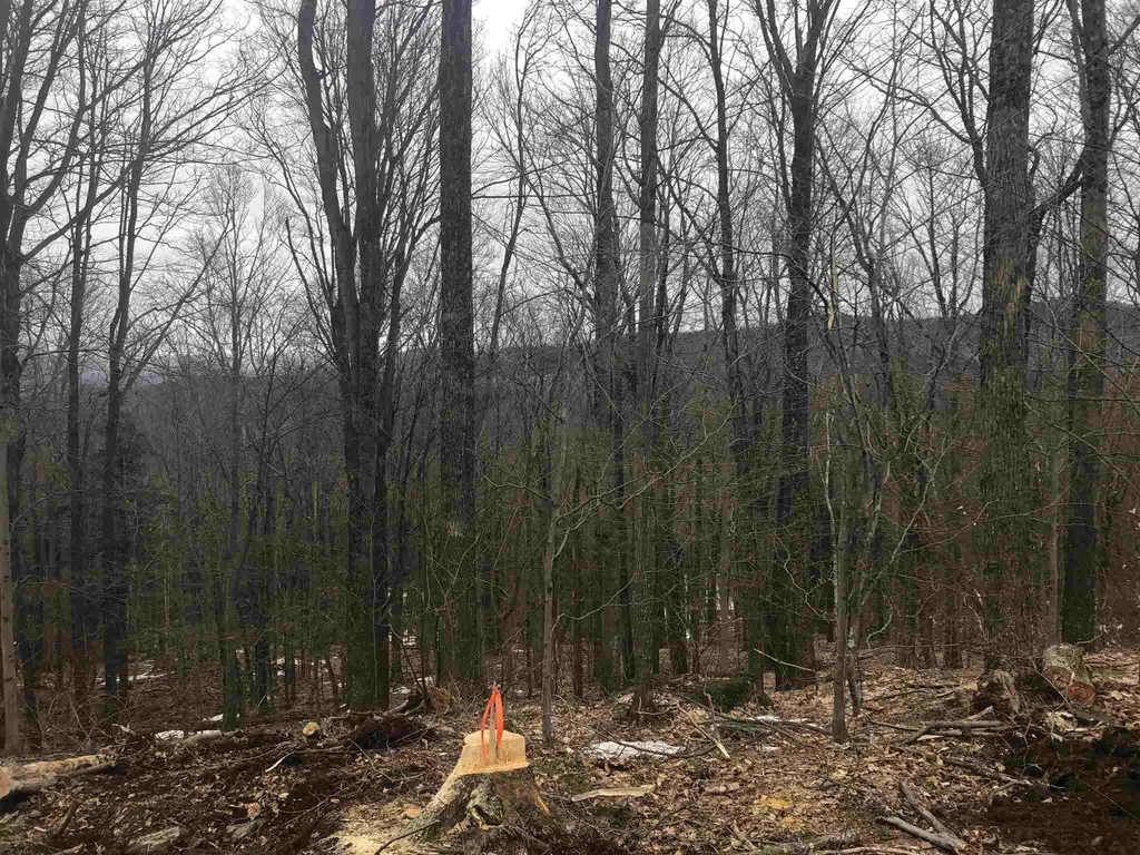0 Village Road Fayston VT 05463