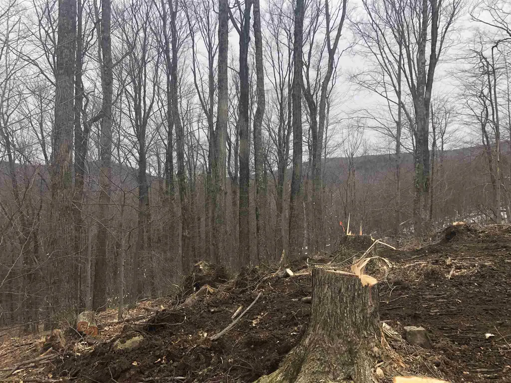 0 Village Road Fayston VT 05463