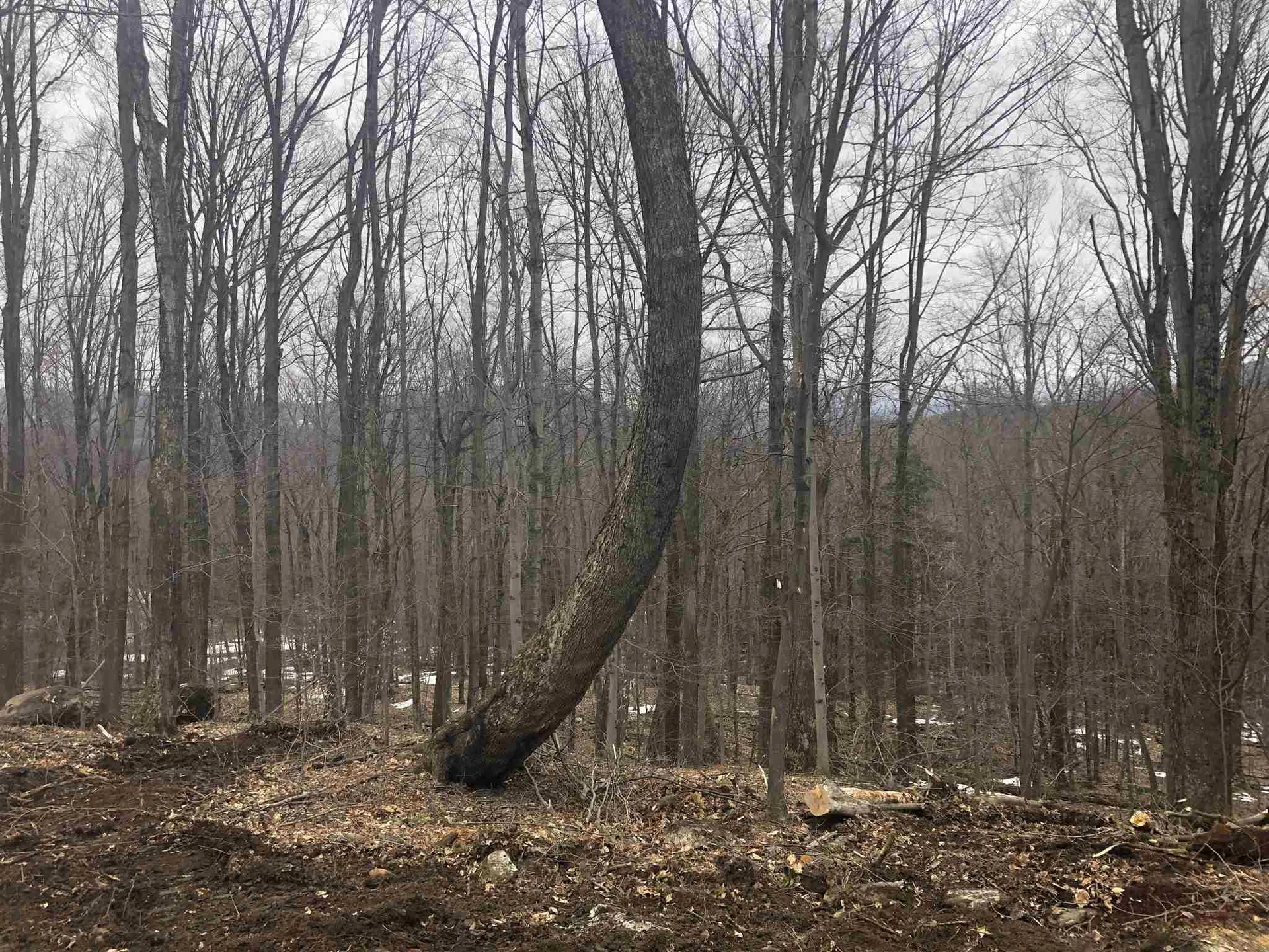 0 Village Road Fayston VT 05463