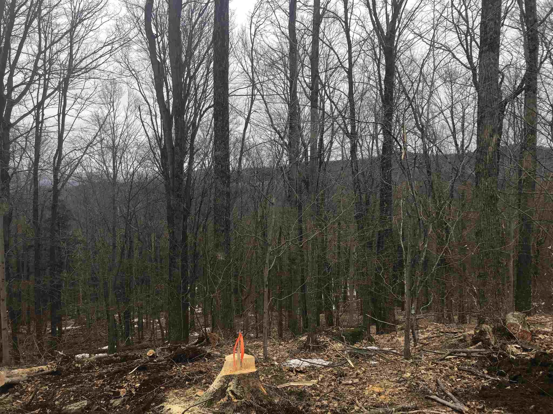 0 Village Road Fayston VT 05463