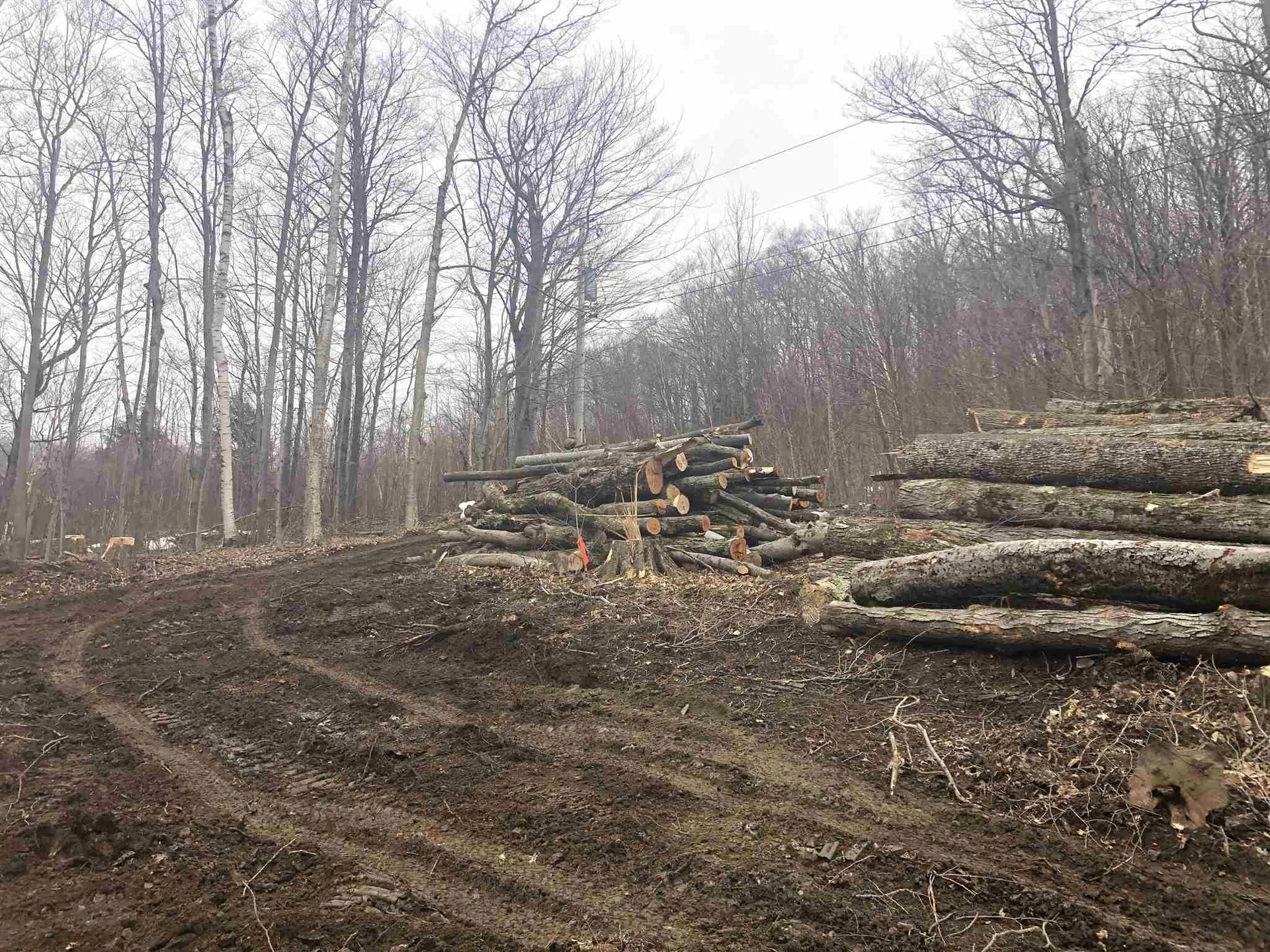0 Village Road Fayston VT 05463