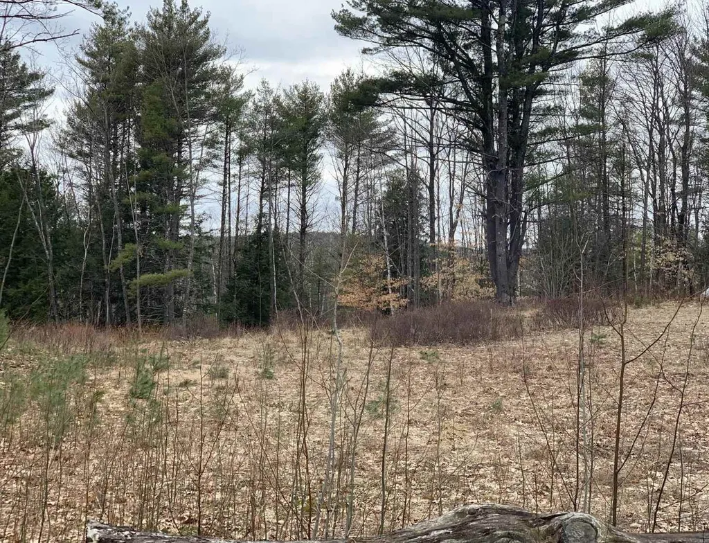 Map 1, Lot 14-6 Province Road Strafford NH 03884