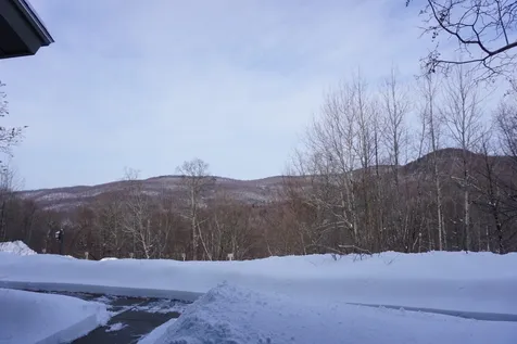 115 Bear Run Road Bolton VT 05477