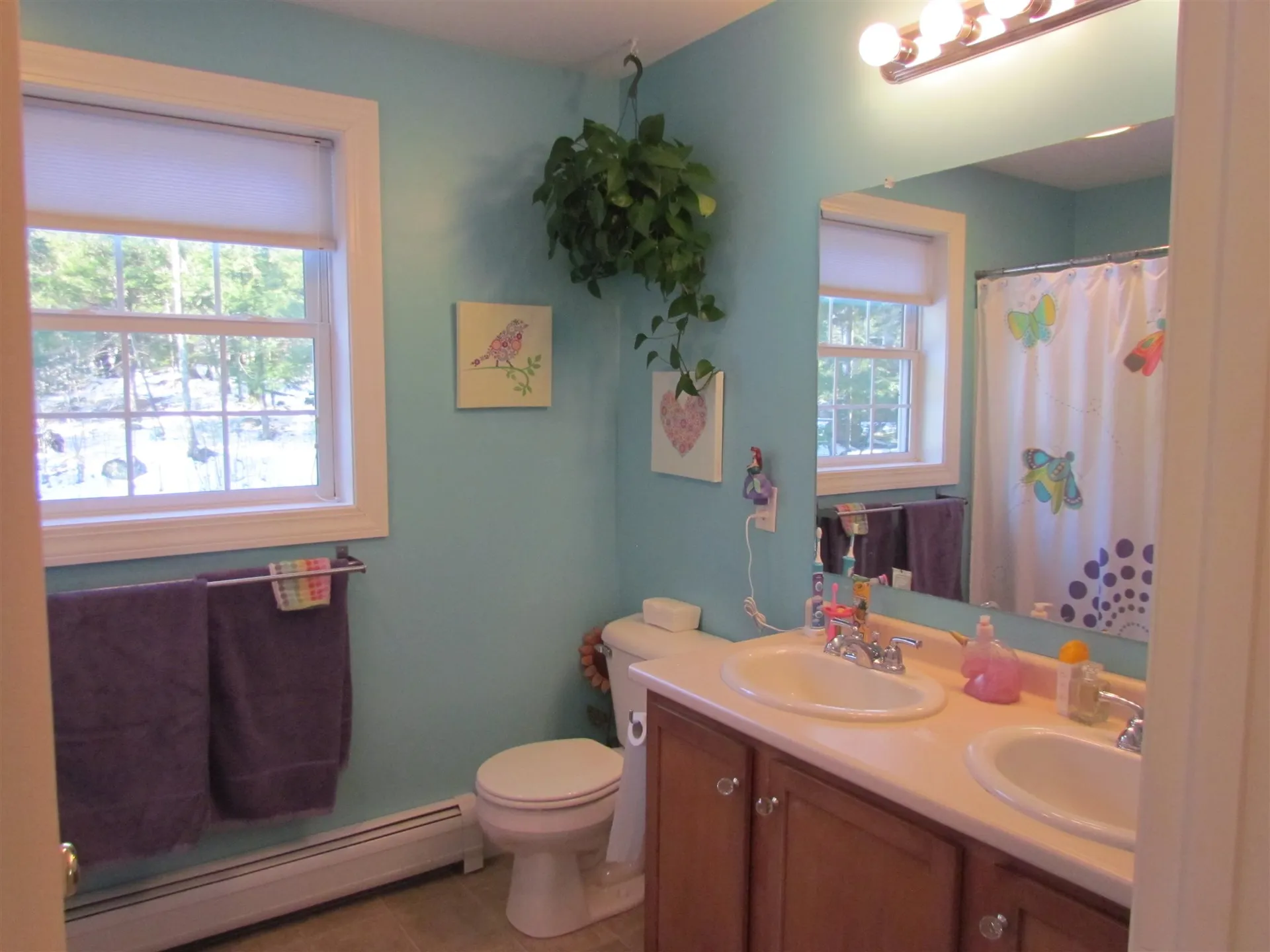 52 Hearthside Drive Barrington NH 03825