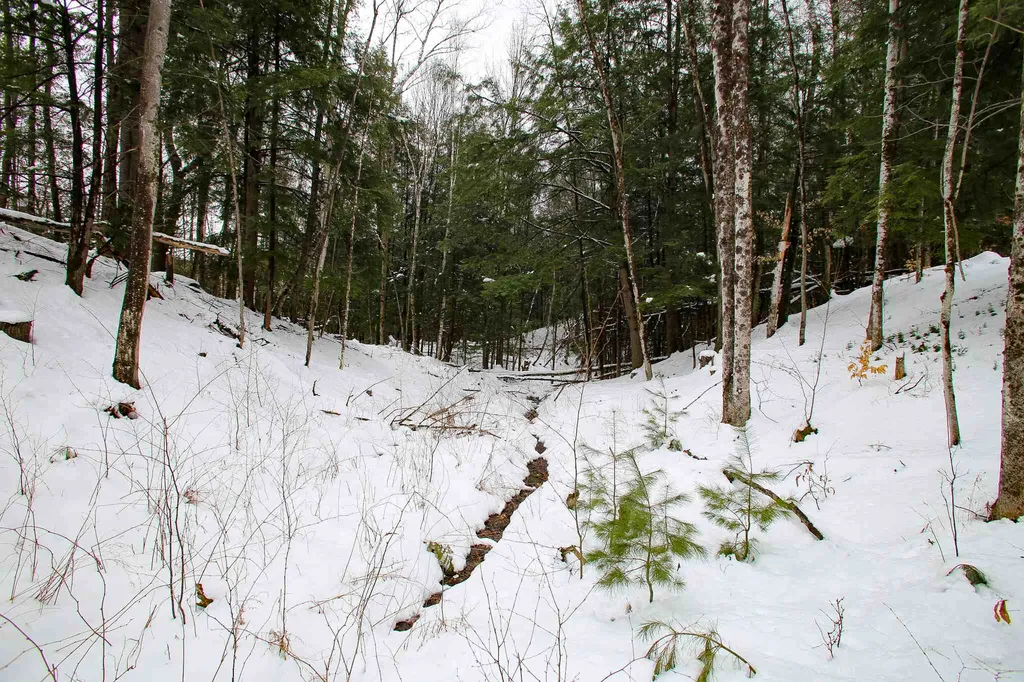 203 Porter Road Plainfield NH 03781