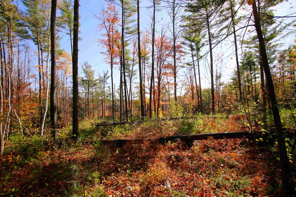 203 Porter Road Plainfield NH 03781