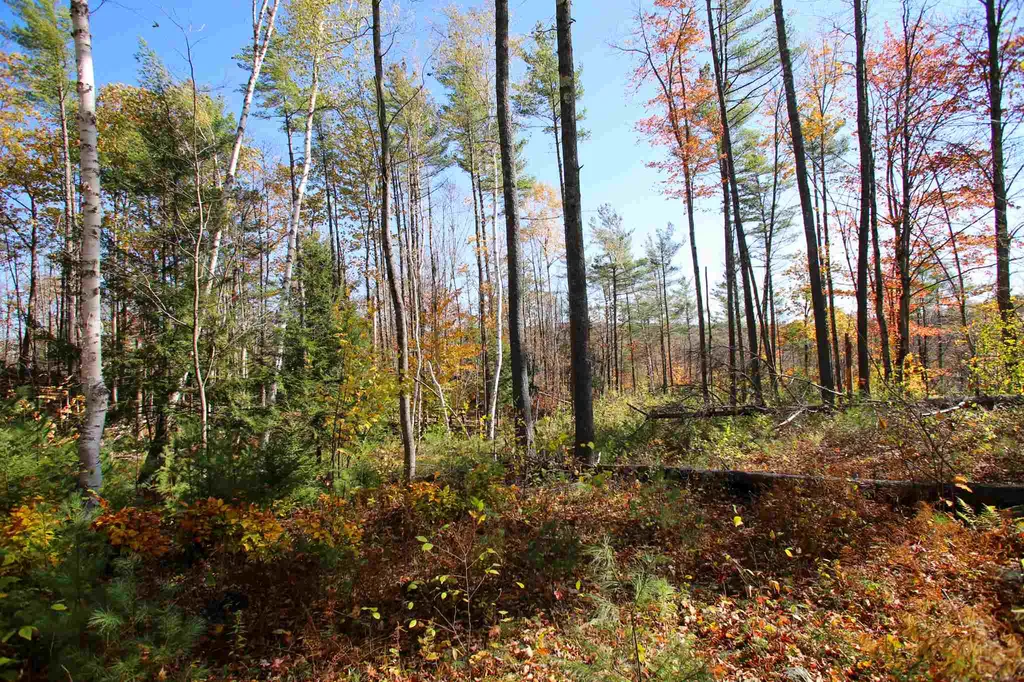 203 Porter Road Plainfield NH 03781