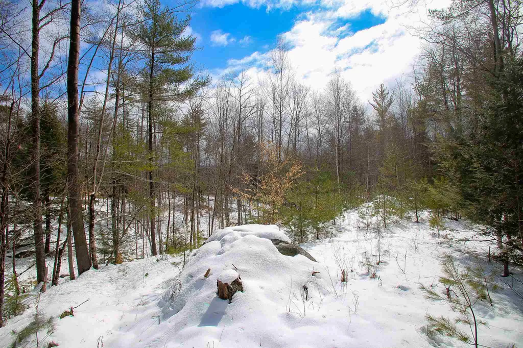 203 Porter Road Plainfield NH 03781